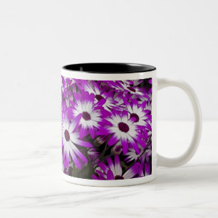 Blume pattern, Kuekenhof Gardens, Lisse, Zweifarbige Tasse