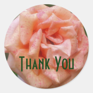 Blume Peach Rose Danke Sticker