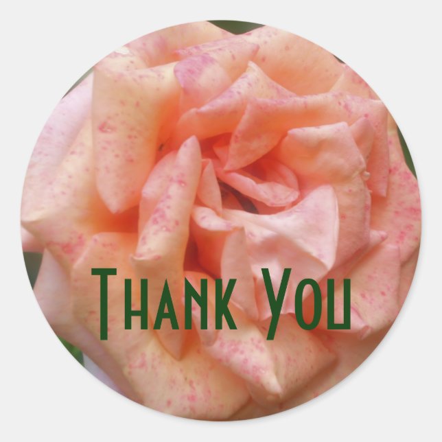 Blume Peach Rose Danke Sticker (Vorderseite)