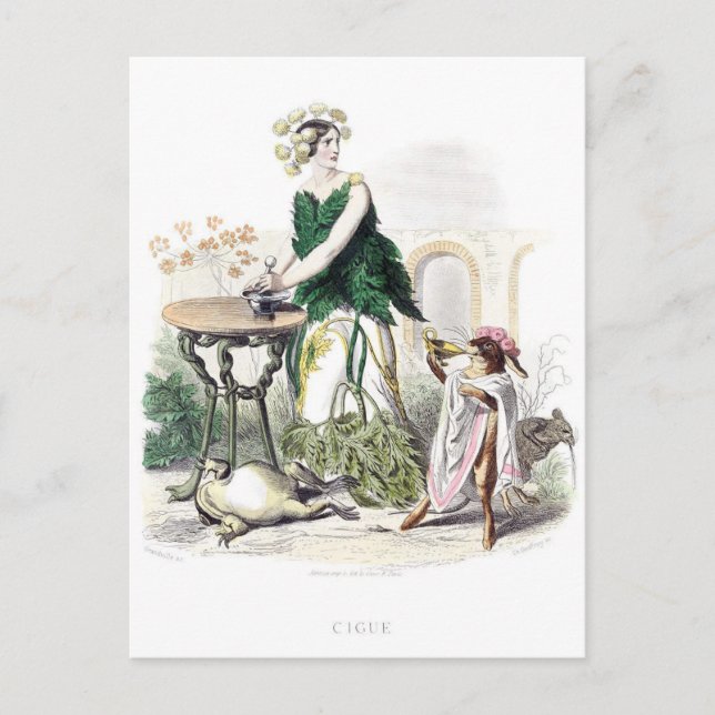 Blume personifiziert postkarte (Vorderseite)