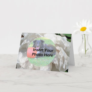 Blume-Petalen aus weißem Peony, Rahmen Foto Karte