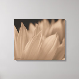 Blume Petals in Sepia Tone Leinwand