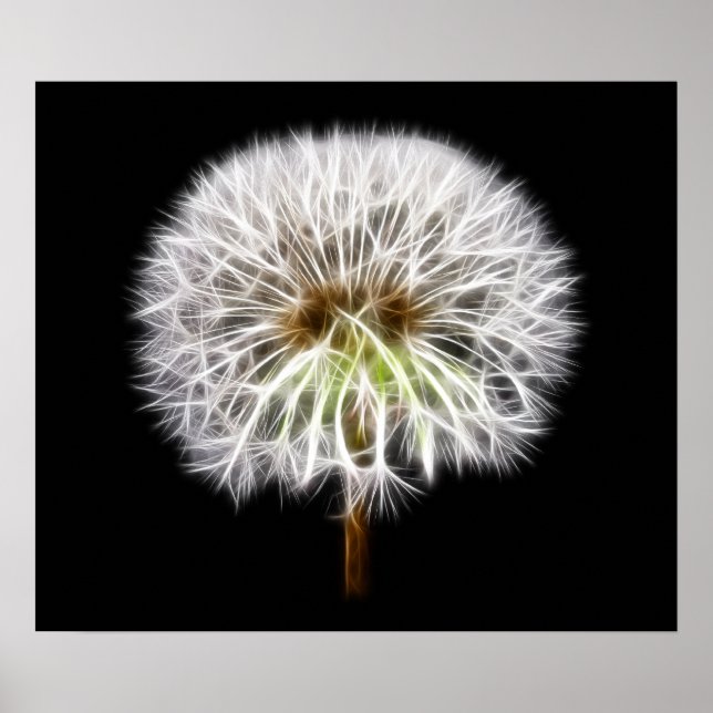 Blume Pflanze Poster (Vorne)
