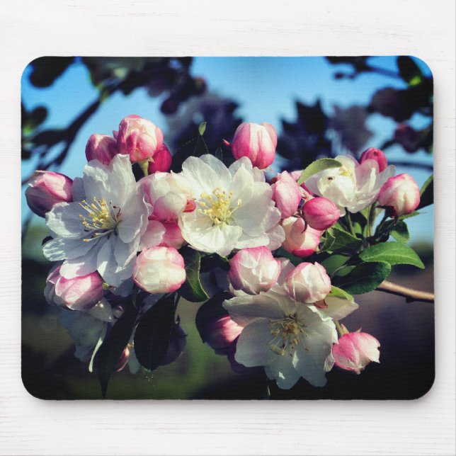 Blume phantastischer Frühjahrsblüten Mousepad (Vorne)