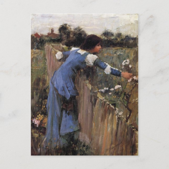Blume Picker Postkarte (Vorderseite)