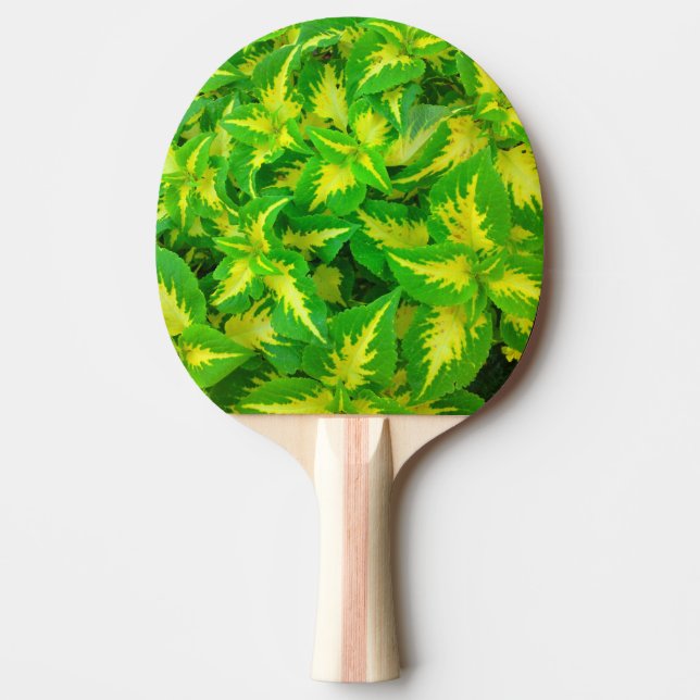 Blume Ping Pong Paddel Gelb und Grün Tischtennis Schläger (Vorderseite)
