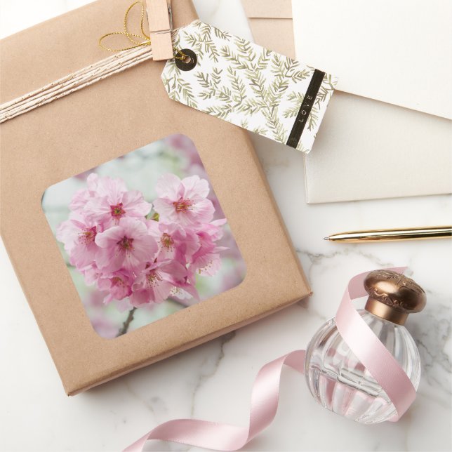 Blume Pink Cherry Blossom, Japan Fotografie Quadratischer Aufkleber (Schenken)