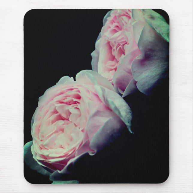 Blume Pink Roses Mousepad (Vorne)