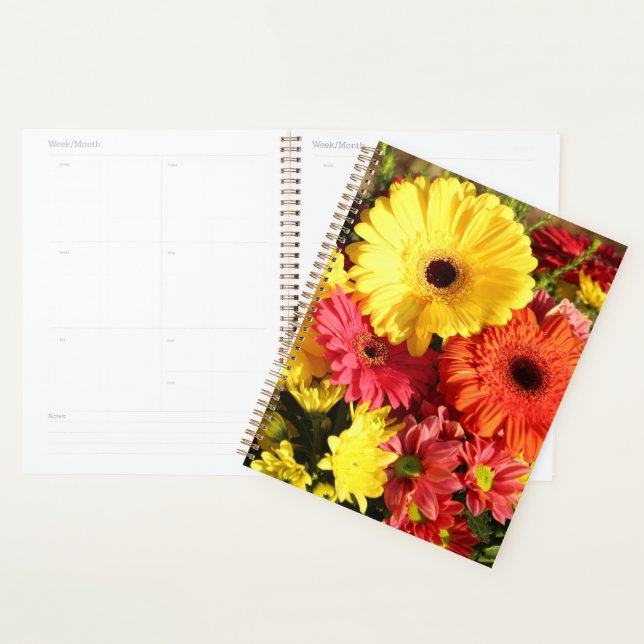 Blume Planer (Anzeige)
