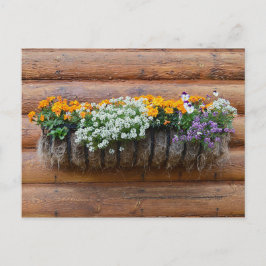 Blume Planterholzkabine Postkarte