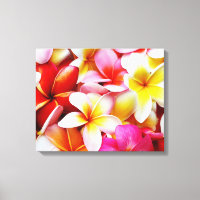 Blume Plumeria Frangipani Hawaii individuell