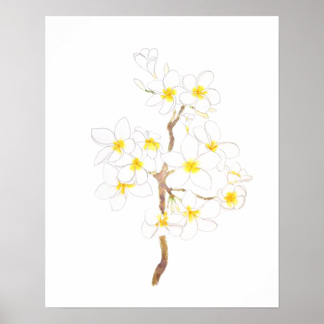 Blume Plumeria frangipani Tinte und Wasser Poster (Vorne)
