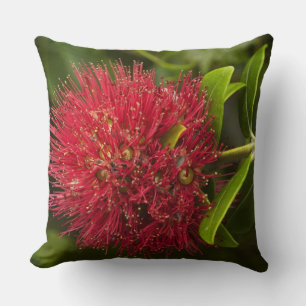 Blume Pohutukawa, Dunedin Kissen