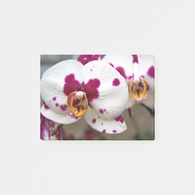 Blume Post-it Klebezettel (Vorderseite)