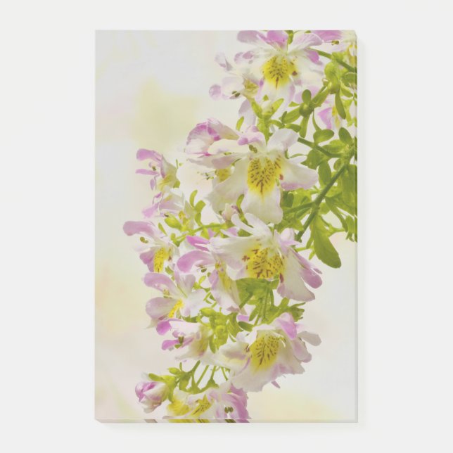 Blume Post-it Klebezettel (Vorderseite)