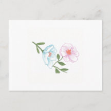 Blume Postcard, Blue and Pink Cosmos