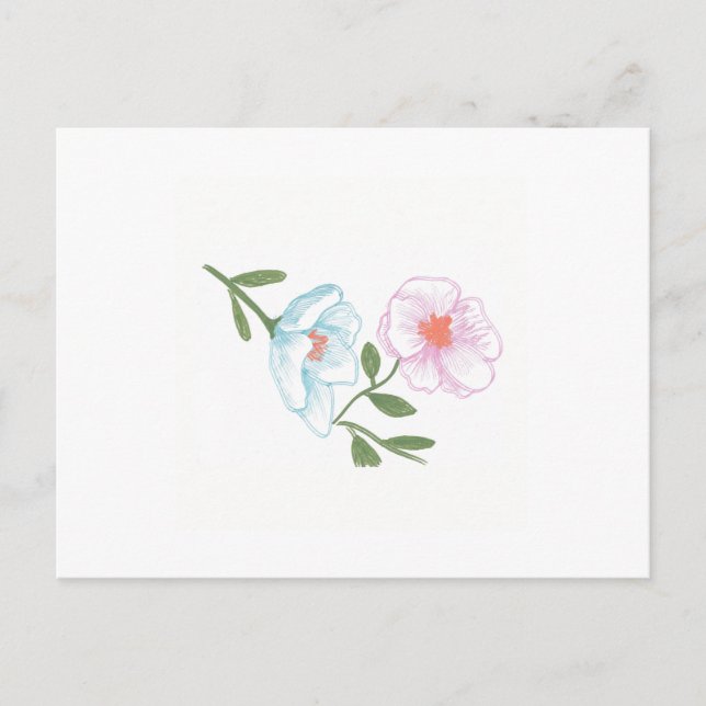 Blume Postcard, Blue and Pink Cosmos Postkarte (Vorderseite)