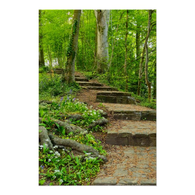 Blume Poster (Vorderseite)