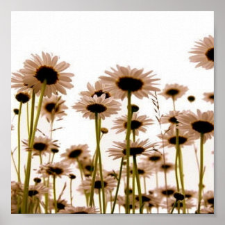 Blume Poster