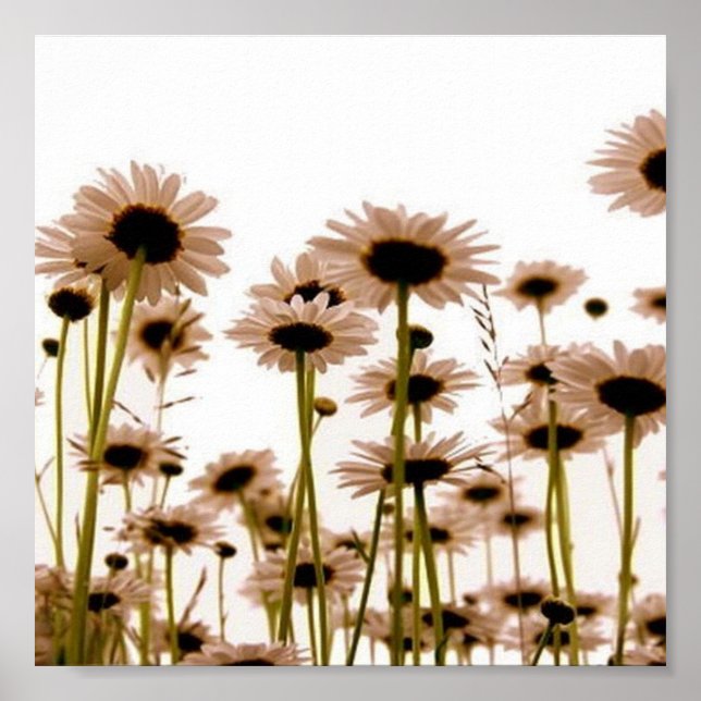 Blume Poster (Vorne)