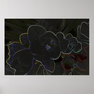 Blume Poster