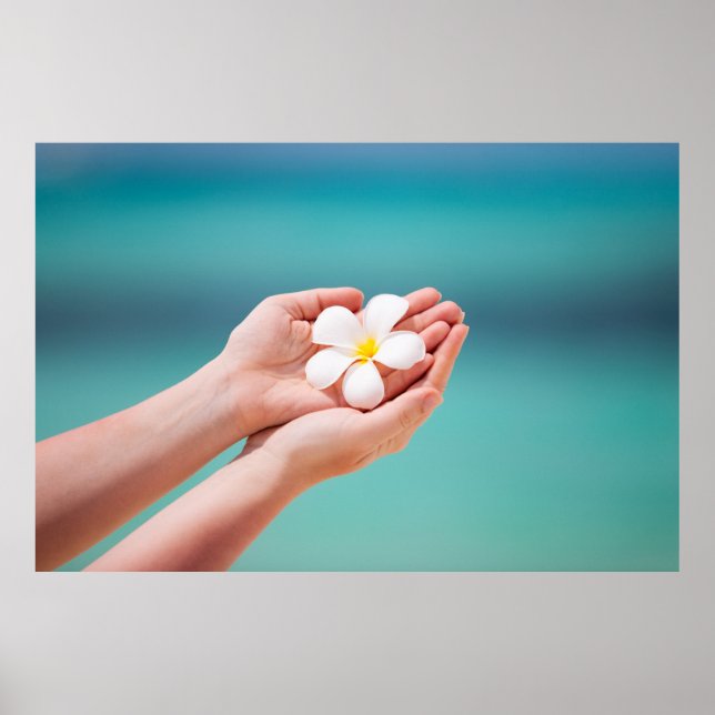 Blume Poster (Vorne)