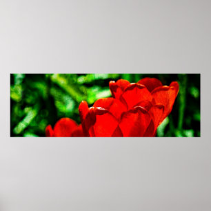Blume Poster
