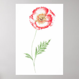 Blume Poster