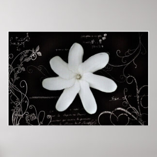 Blume Poster