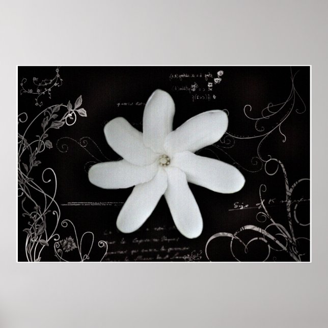 Blume Poster (Vorne)