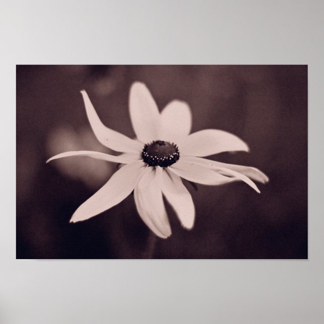 Blume Poster (Vorne)