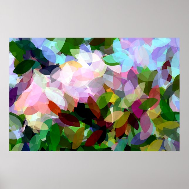 BLUME POSTER (Vorne)