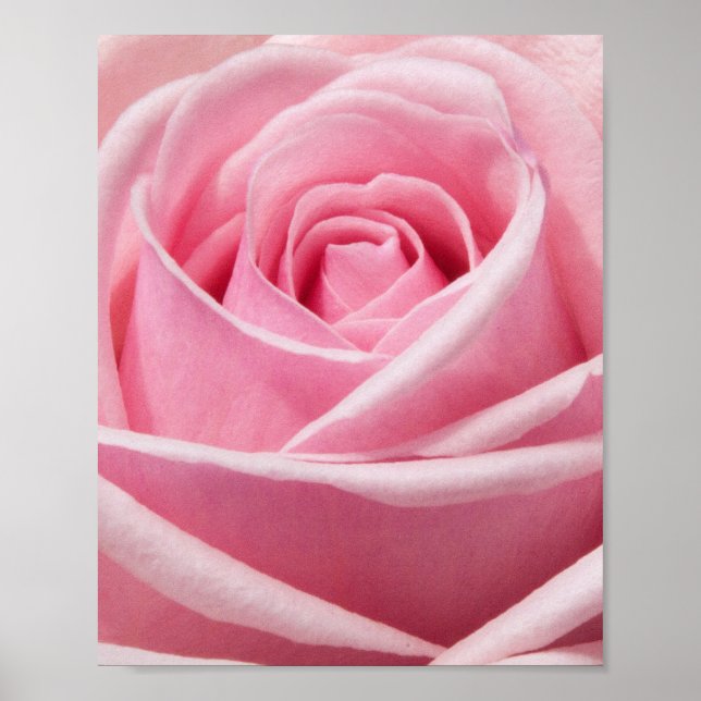 Blume Poster (Vorne)