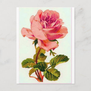 Blume Postkarte