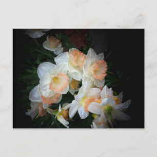 Blume Postkarte