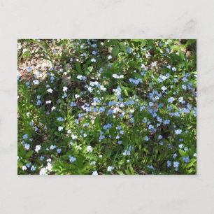 Blume Postkarte