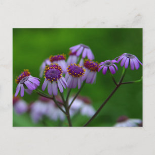 Blume Postkarte