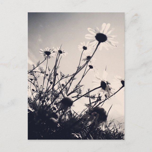 Blume Postkarte (Vorderseite)