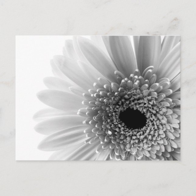 Blume Postkarte (Vorderseite)