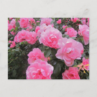 Blume Postkarte