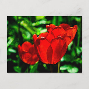 Blume Postkarte