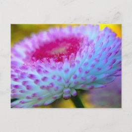 Blume Postkarte