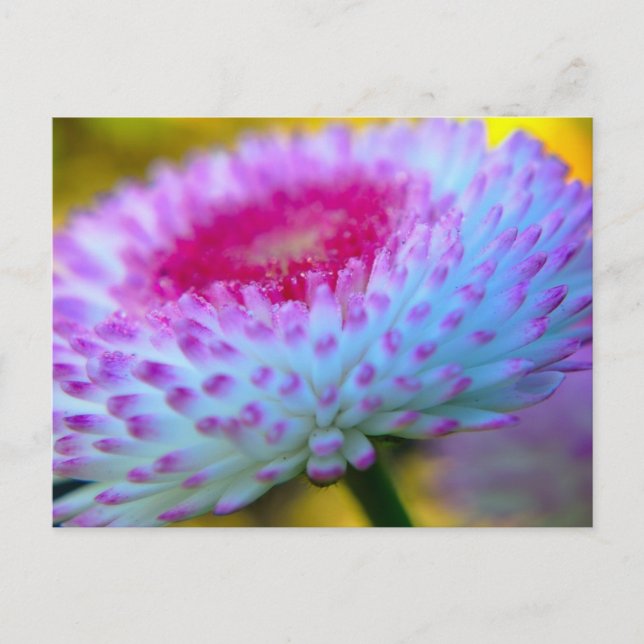 Blume Postkarte (Vorderseite)