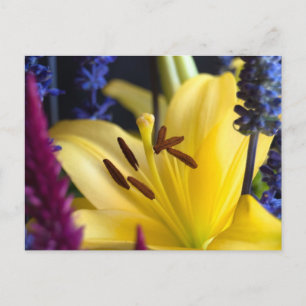 Blume Postkarte