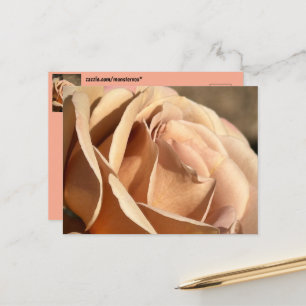 Blume Postkarte