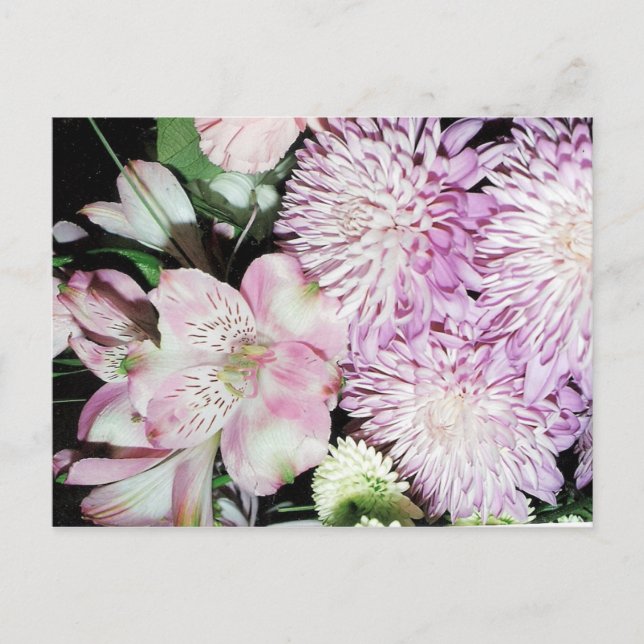 Blume Postkarte (Vorderseite)