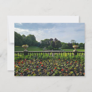 Blume Postkarte