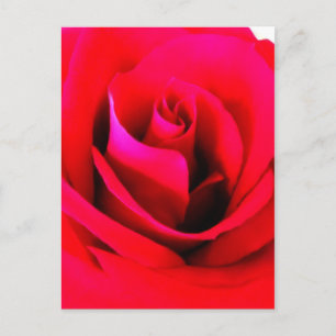 Blume Postkarte malen