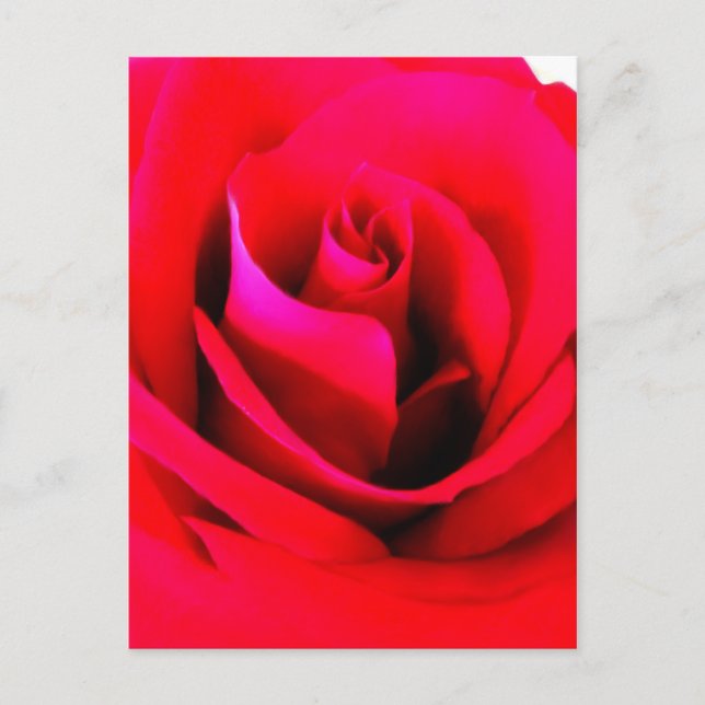 Blume Postkarte malen (Vorderseite)