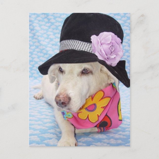 Blume Power Myrtie Postkarte (Vorderseite)